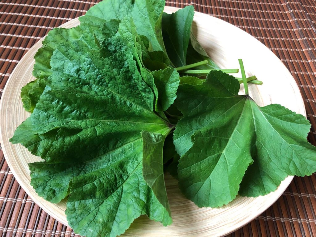 おかのり おか野菜シリーズ 畑の海藻 愛の野菜伝道師